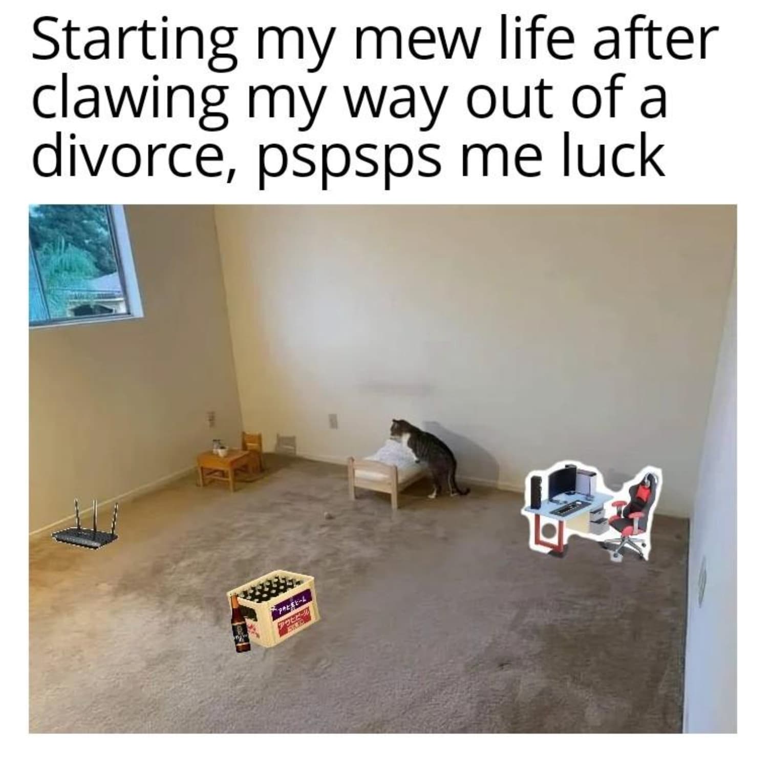 dibs memes - Starting my mew life after clawing my way out of a divorce, pspsps me luck